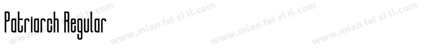 Patriarch Regular字体转换